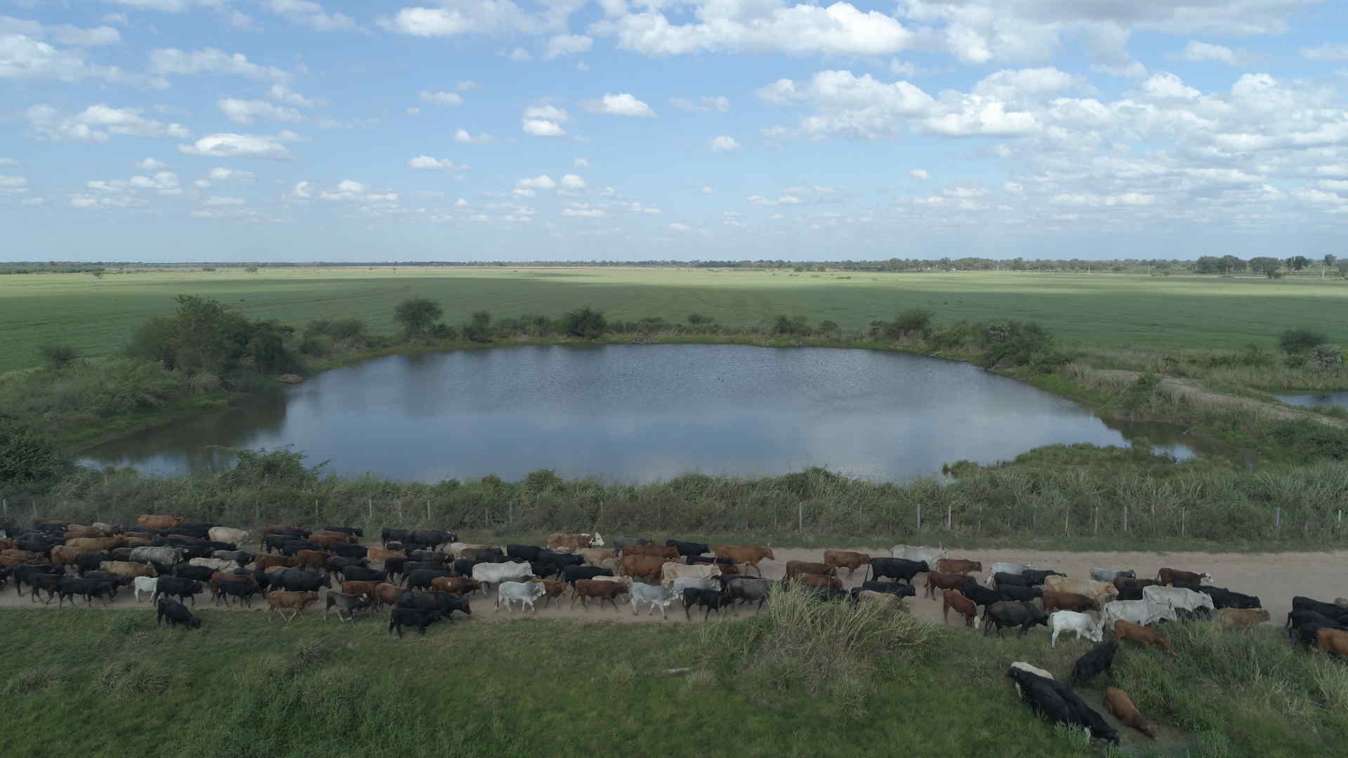 Ganadera Alboeerada S.A.